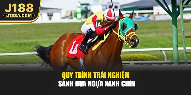 Quy trình trải nghiệm sảnh đua ngựa xanh chín