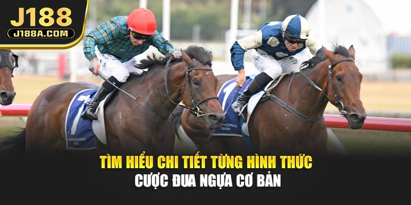 Tìm hiểu chi tiết từng hình thức cược đua ngựa cơ bản