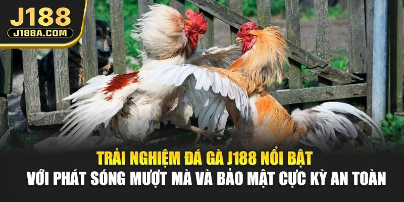 Trải nghiệm đá gà J188 nổi bật với phát sóng mượt mà và bảo mật cực kỳ an toàn
